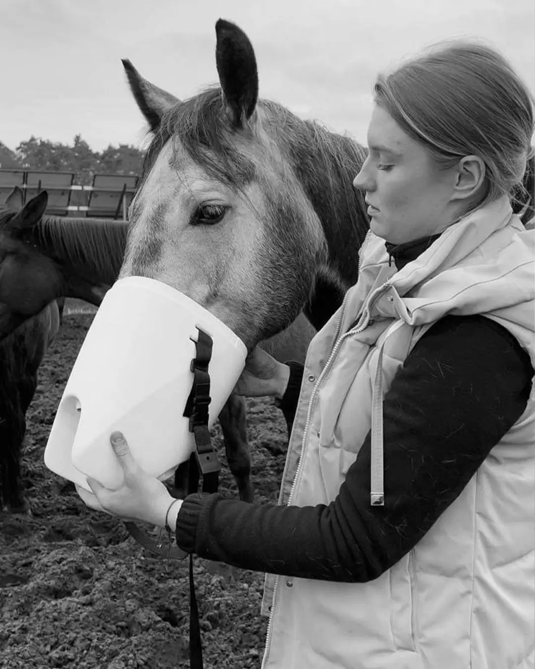 Anatomical masks for horse inhalation